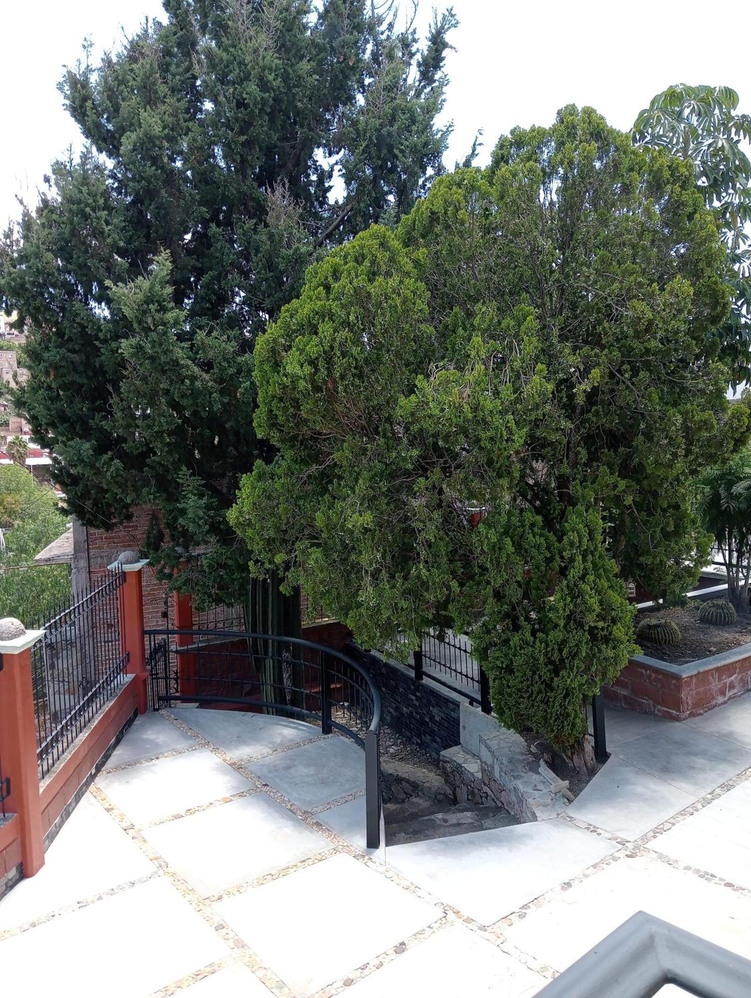Quinta Mercedes Guanajuato Ngoại thất bức ảnh