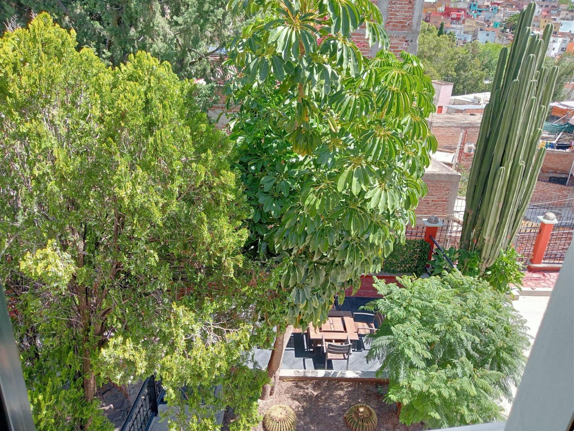 Quinta Mercedes Guanajuato Ngoại thất bức ảnh