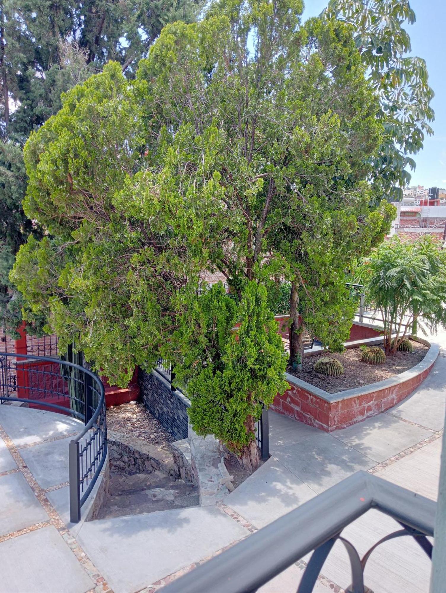 Quinta Mercedes Guanajuato Ngoại thất bức ảnh
